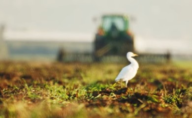 Svjetska turistička organizacija napravila listu najboljih sela za turiste: Jedno je kod Banjaluke (VIDEO)