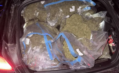 U akciji "Brazil" pronađeno oko 50 kilograma skanka