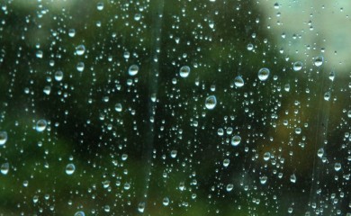 POČETAK SEPTEMBRA: Danas oblačno sa kišom, kasnije razvedravanje