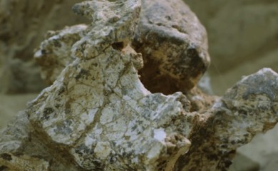 KINA: U Kini otkrivena ljudska lobanja stara milion godina