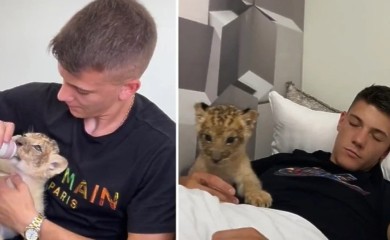 Šta se dogodilo s lavom kojeg je srpski youtuber držao u stanu zbog popularnosti na internetu