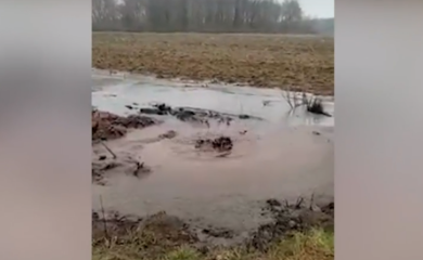 Izbila nafta kod Zagreba (VIDEO)