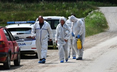 Afrička kuga hara Slavonijom