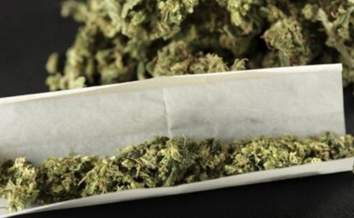 Uhapšen Beograđanin zbog marihuane