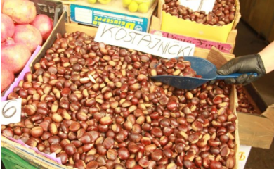 BANJA LUKA: Simbol jeseni na banjalučkoj Tržnici