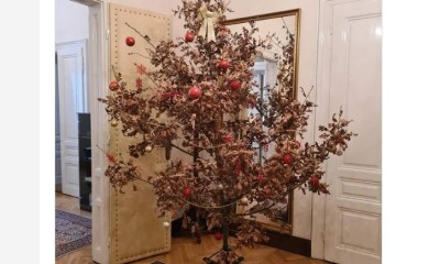 Unesen badnjak u kabinet srpskog člana Predsjedništva BiH