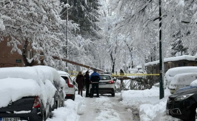 Tragedija u Sarajevu: stablo bora palo na ženu, preminula u bolnici