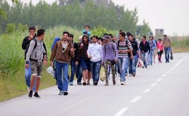 BiH: Povećan broj migranata i pokušaja krijumčarenja ljudi