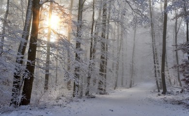 Prvi snijeg u Drvaru, Glamoču i Bosanskom Grahovu