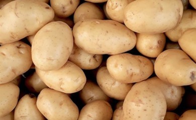 Zabranjen uvoz krompira iz Poljske zbog pesticida