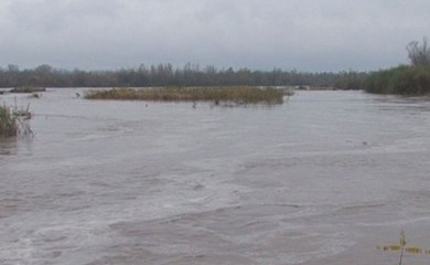 Drava u Hrvatskoj dostigla rekordan nivo, angažovana i vojska