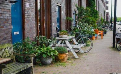 “Operacija saksija”: Amsterdam se “bori” protiv prevelikog broja saksija na ulicama