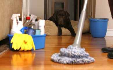 Ćišćenje kuće kao metoda smanjivanja stresa