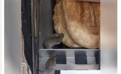 Banjalučka inspekcija u marketu ispraznila rafe zbog miša među pitama