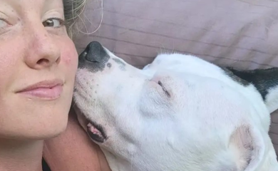 Uplašio se aparata za izbjeljivanje zuba: Pitbul vlasnici odgrizao nos