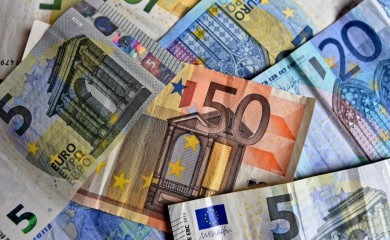 Deportovana bh. prevarantkinja koja je Njemačku koštala malo bogatstvo