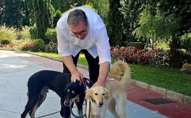 Oglasio se Vučić: Umorio sam se od bezočnih laži, spas je u šetnji sa Šarkijem i Zadom (FOTO)
