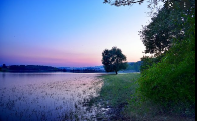 Ribnjak u Prnjavoru izmiruje dug prodajom ribe