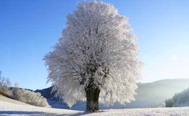 Ledi se krv u žilama: Selo u Crnoj Gori izmjerilo minus 26 stepeni