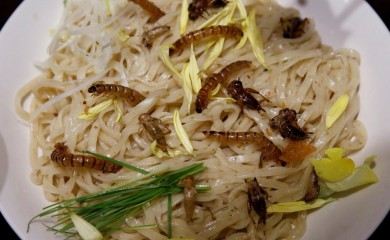 Od danas u EU dozvoljeno da tjestenina sadrži insekte i bube