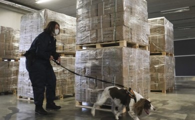 Droga bila namijenjena za tržište EU: U Rusiji zaplijenjeno 699 kilograma kokaina