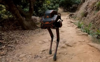 Kinezi pustili robota u šumu: Preživio batine i ostao na nogama (VIDEO)
