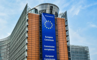 Hoće li Ana Trišić Babić otvoriti pregovore s EU?