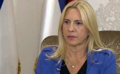Cvijanović: Nadam se da je Šmitova prijetnja lični stav isfrustriranog pojedinca, a ne njegove zemlje