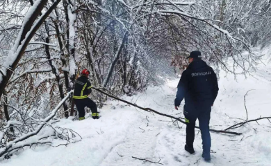 Srbija i dalje okovana snijegom: vanredna situacija u 11 opština, hiljade domaćinstava bez struje