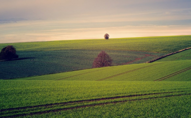 Skupština Teksasa razmatra zabranu prodaje zemljišta Kinezima i Rusima