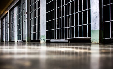 Zbog silovanja psa osuđen na godinu zatvora, nedostupan Hrvatskoj jer je zaposlen u Evropskom parlamentu