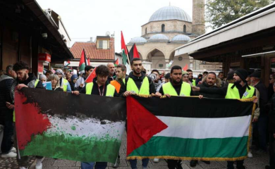 NEMAJU PAMETNIJEG POSLA Domaći političari posvađali se zbog rabina i sukoba u Palestini