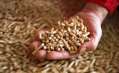 Nabavka za ogrev uveliko u toku: Evo i cijena peleta