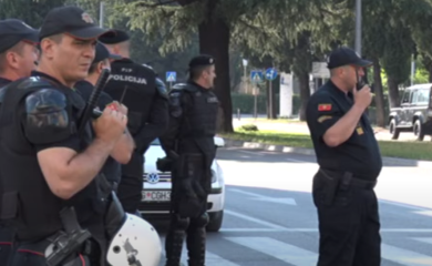 Puška i 160 metaka zaplijenjeni na graničnom prelazu Jabuka