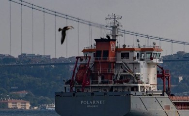 Bosforu: Brod sa ukrajinskim žitom stajao 11 dana