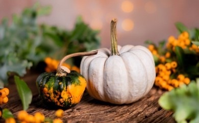 KALIFORNIJA: Izvagana čudovišna bundeva