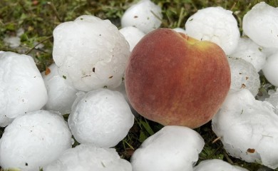 Snažno nevrijeme pogodilo Sloveniju: Vjetar čupao krovove, poplavljeni objekti (FOTO/VIDEO)