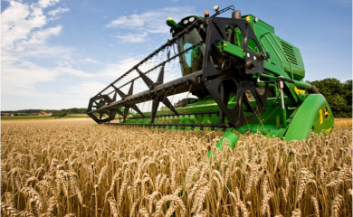 Na području prijedorske regije planirana sjetva 2.800 hektara pšenice