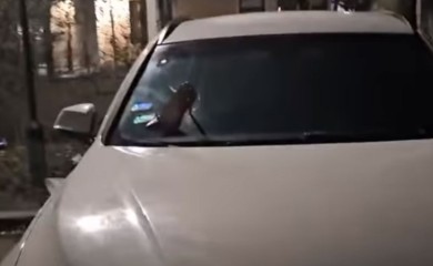 Burna noć u Beogradu: Crvena štikla zabodena u šajbu bijelog BMW-a (VIDEO)