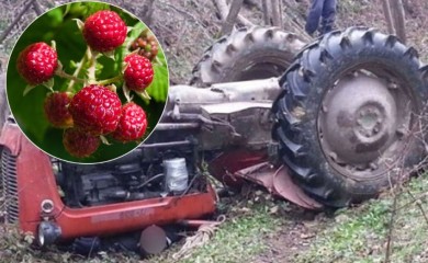 Šestoro mladih berača malina sletjelo traktorom u dvorište
