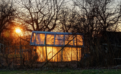 CRNA GORA: Starac smrtno stradao u požaru