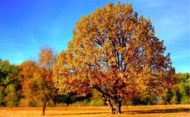 Sutra malo toplije vrijeme