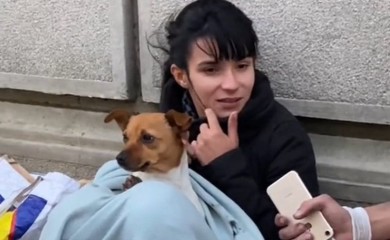 Mlada ljepotica sa psom prosi u Knez Mihajlovoj