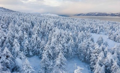 Ledena zvijer ide na Evropu! „Sibirska eksplozija“ prijeti da okije kontinent: Minusi do –13, meteorolozi upozoravaju na najjači udar zime
