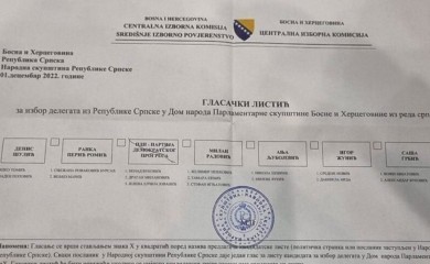 CIK potvrdio rezultat, Vuković u Domu naroda