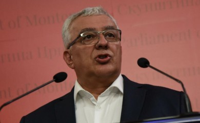 Mandić povodom praznika: Raduje me isticanje srpskih trobojki u Crnoj Gori