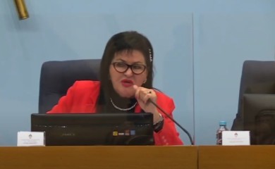 RADULOVIĆ: Nemoj mi se ođe obadati