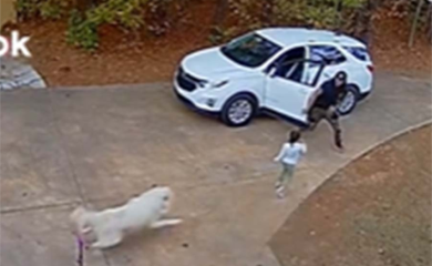 Tata heroj spasio dijete od agresivnog psa  VIDEO