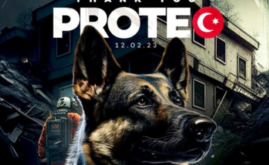 Sahranjen pas koji je poginuo spasavajući ljude nakon zemljotresa (FOTO)