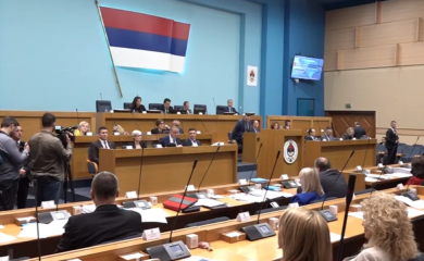 Usvojen program rada Skupštine i Zakon o registru pedofila